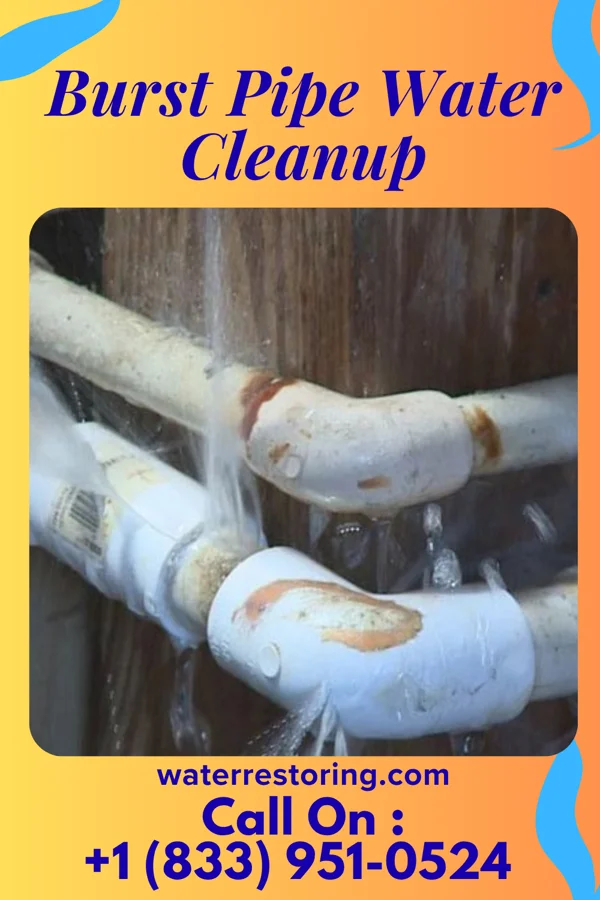 Burst Pipe Water Cleanup in Cayce, KY