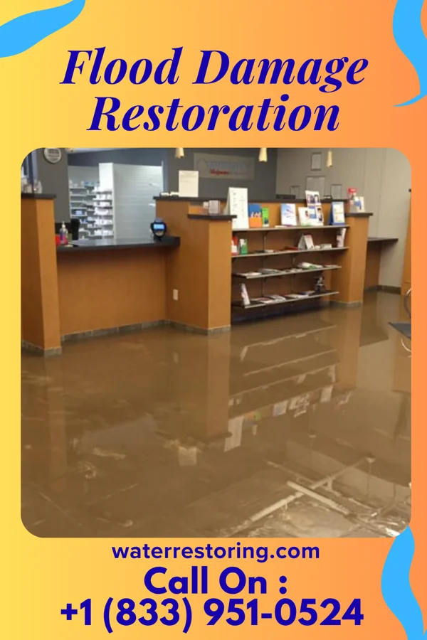 Flood Damage Restoration in Cayce, KY